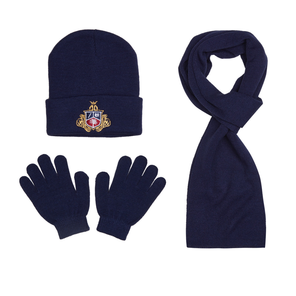 Winter kiddies knitted set with gloves and hat 